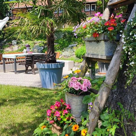 Apartment Im Gruenen Mit Anbindung Ans Zentrum Ερφούρτη Εξωτερικό φωτογραφία