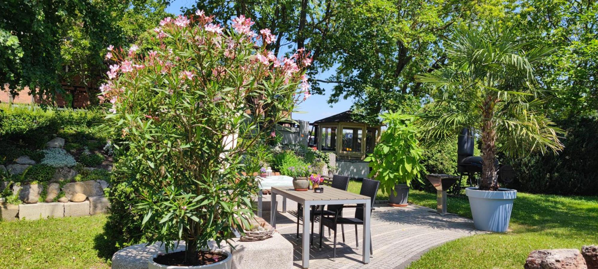 Apartment Im Gruenen Mit Anbindung Ans Zentrum Ερφούρτη Εξωτερικό φωτογραφία