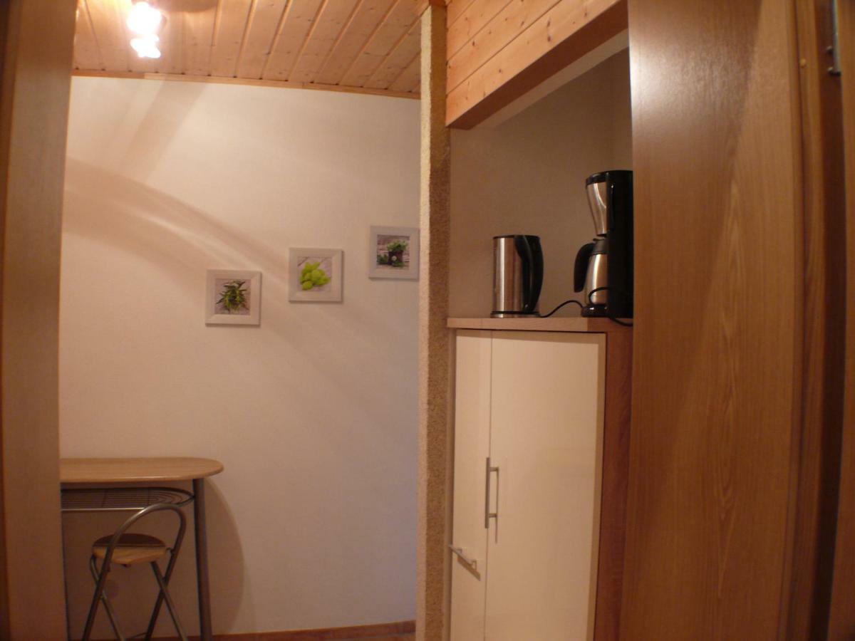 Apartment Im Gruenen Mit Anbindung Ans Zentrum Ερφούρτη Εξωτερικό φωτογραφία