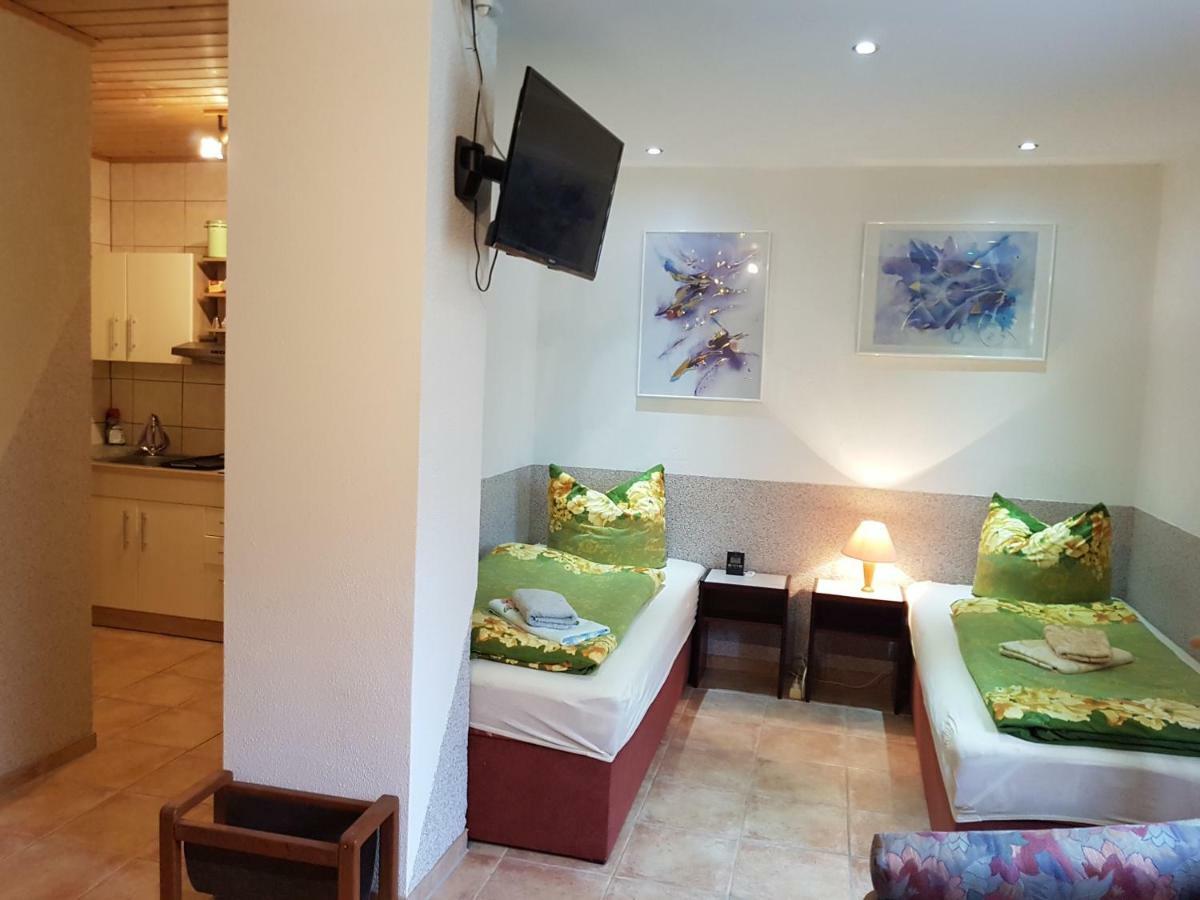 Apartment Im Gruenen Mit Anbindung Ans Zentrum Ερφούρτη Εξωτερικό φωτογραφία